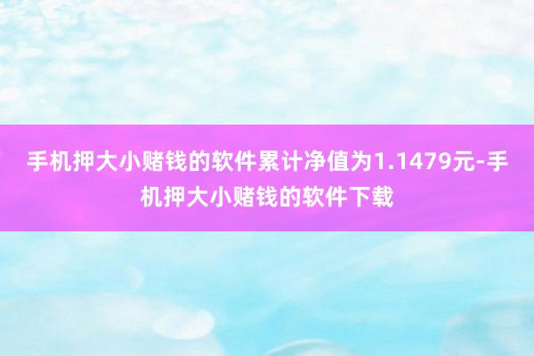 手机押大小赌钱的软件累计净值为1.1479元-手机押大小赌钱的软件下载