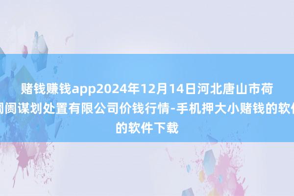 赌钱赚钱app2024年12月14日河北唐山市荷花坑阛阓谋划处置有限公司价钱行情-手机押大小赌钱的软件下载