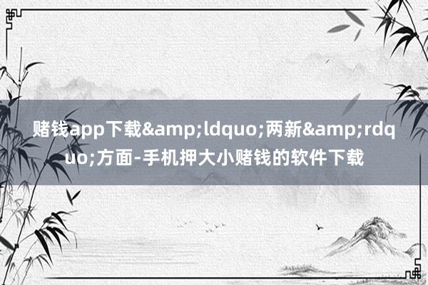 赌钱app下载&ldquo;两新&rdquo;方面-手机押大小赌钱的软件下载