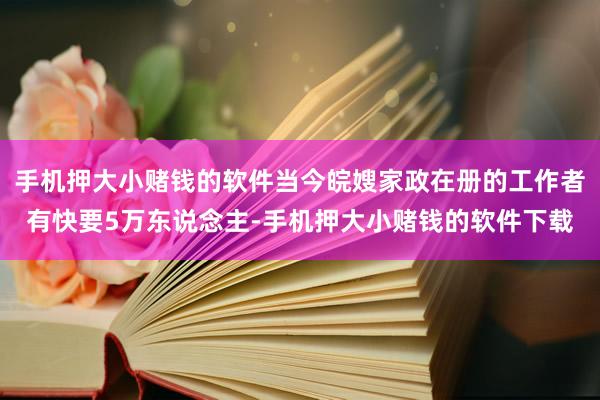 手机押大小赌钱的软件当今皖嫂家政在册的工作者有快要5万东说念主-手机押大小赌钱的软件下载