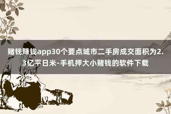 赌钱赚钱app30个要点城市二手房成交面积为2.3亿平日米-手机押大小赌钱的软件下载