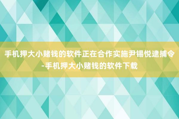 手机押大小赌钱的软件正在合作实施尹锡悦逮捕令-手机押大小赌钱的软件下载