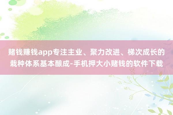 赌钱赚钱app专注主业、聚力改进、梯次成长的栽种体系基本酿成-手机押大小赌钱的软件下载