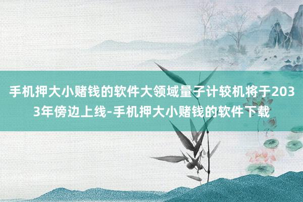 手机押大小赌钱的软件大领域量子计较机将于2033年傍边上线-手机押大小赌钱的软件下载