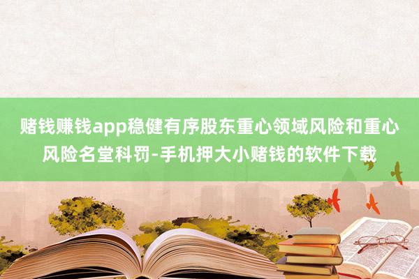 赌钱赚钱app稳健有序股东重心领域风险和重心风险名堂科罚-手机押大小赌钱的软件下载
