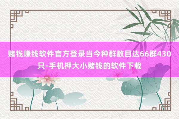赌钱赚钱软件官方登录当今种群数目达66群430只-手机押大小赌钱的软件下载
