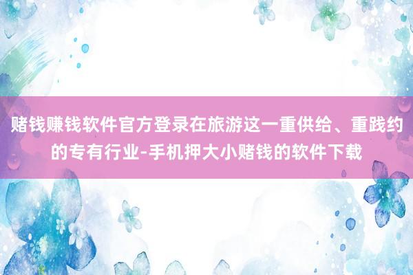 赌钱赚钱软件官方登录在旅游这一重供给、重践约的专有行业-手机押大小赌钱的软件下载