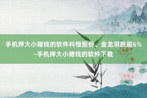 手机押大小赌钱的软件科恒股份、金龙羽跌超6%-手机押大小赌钱的软件下载