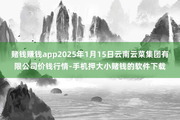 赌钱赚钱app2025年1月15日云南云菜集团有限公司价钱行情-手机押大小赌钱的软件下载