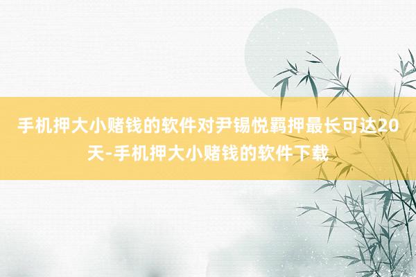 手机押大小赌钱的软件对尹锡悦羁押最长可达20天-手机押大小赌钱的软件下载