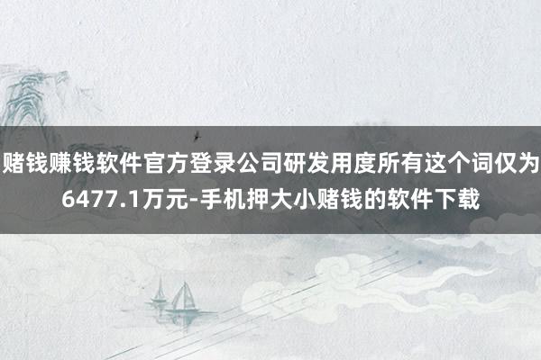 赌钱赚钱软件官方登录公司研发用度所有这个词仅为6477.1万元-手机押大小赌钱的软件下载