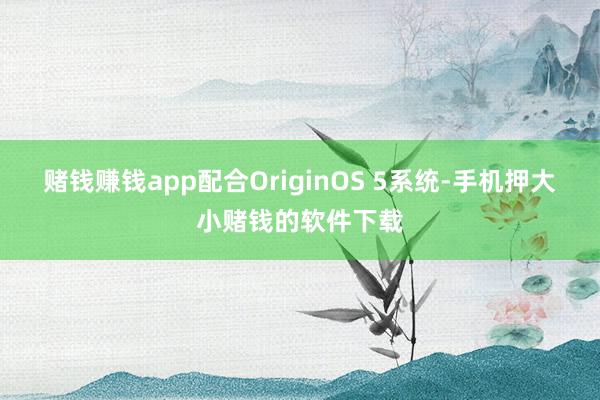 赌钱赚钱app配合OriginOS 5系统-手机押大小赌钱的软件下载