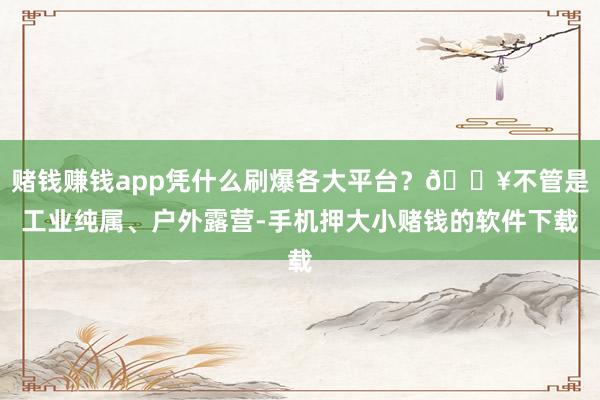 赌钱赚钱app凭什么刷爆各大平台？💥不管是工业纯属、户外露营-手机押大小赌钱的软件下载