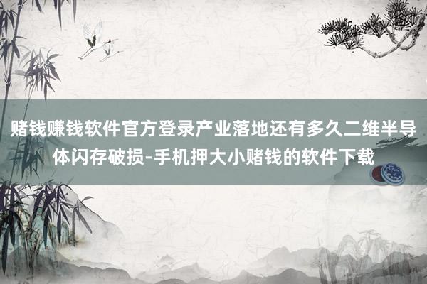 赌钱赚钱软件官方登录产业落地还有多久二维半导体闪存破损-手机押大小赌钱的软件下载