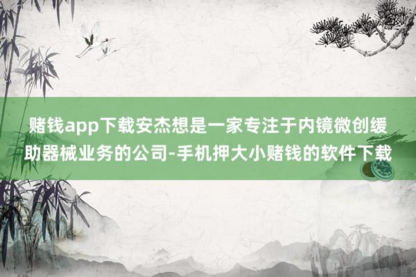 赌钱app下载　　安杰想是一家专注于内镜微创缓助器械业务的公司-手机押大小赌钱的软件下载