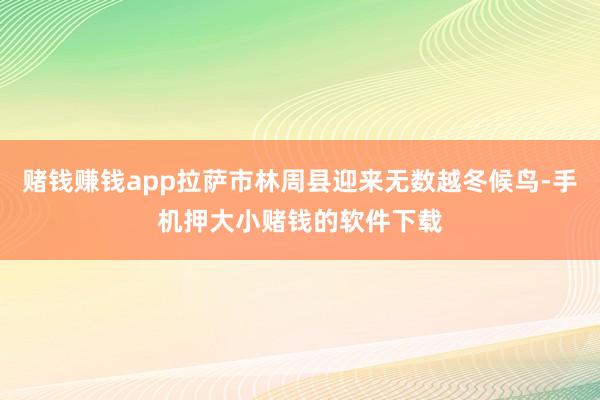 赌钱赚钱app拉萨市林周县迎来无数越冬候鸟-手机押大小赌钱的软件下载