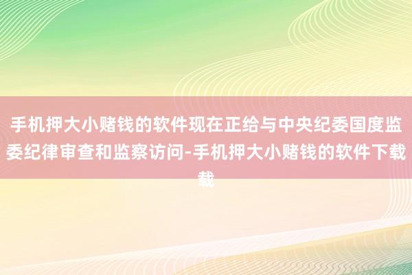手机押大小赌钱的软件现在正给与中央纪委国度监委纪律审查和监察访问-手机押大小赌钱的软件下载