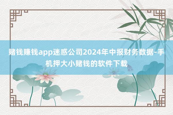 赌钱赚钱app迷惑公司2024年中报财务数据-手机押大小赌钱的软件下载