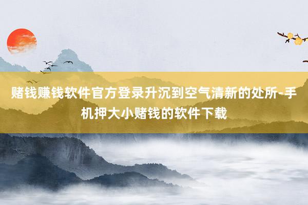 赌钱赚钱软件官方登录升沉到空气清新的处所-手机押大小赌钱的软件下载