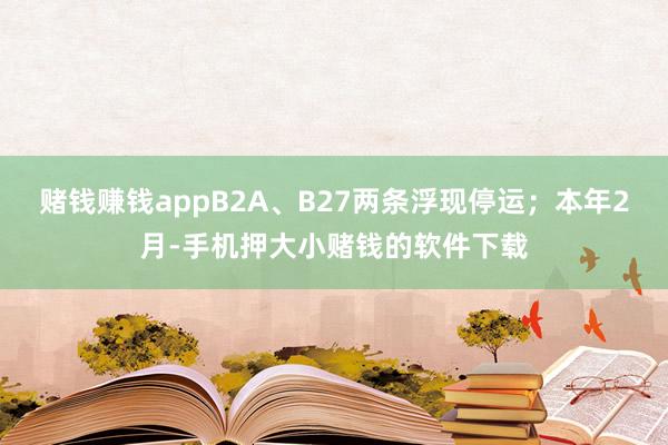 赌钱赚钱appB2A、B27两条浮现停运；本年2月-手机押大小赌钱的软件下载