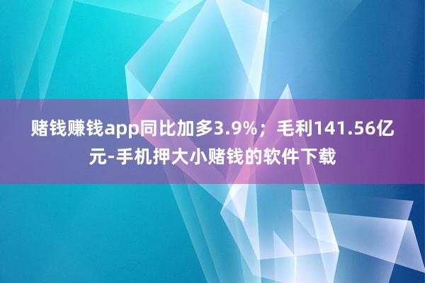 赌钱赚钱app同比加多3.9%；毛利141.56亿元-手机押大小赌钱的软件下载