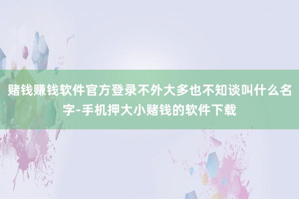 赌钱赚钱软件官方登录不外大多也不知谈叫什么名字-手机押大小赌钱的软件下载