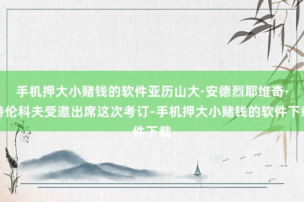 手机押大小赌钱的软件亚历山大·安德烈耶维奇·特伦科夫受邀出席这次考订-手机押大小赌钱的软件下载