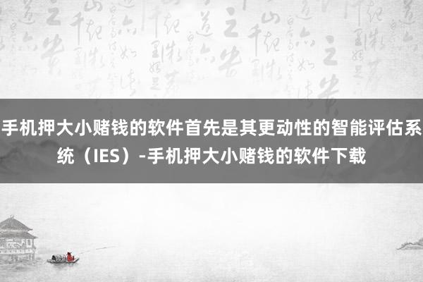手机押大小赌钱的软件首先是其更动性的智能评估系统（IES）-手机押大小赌钱的软件下载