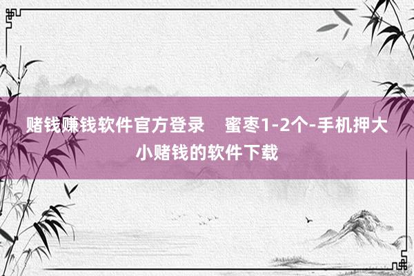 赌钱赚钱软件官方登录    蜜枣1-2个-手机押大小赌钱的软件下载