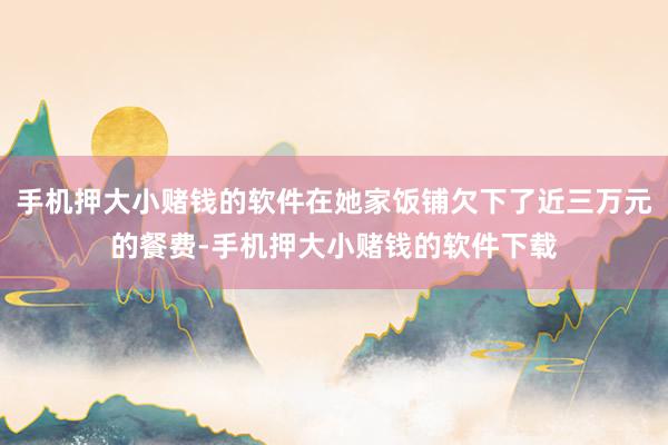 手机押大小赌钱的软件在她家饭铺欠下了近三万元的餐费-手机押大小赌钱的软件下载