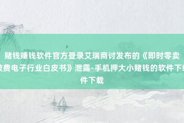 赌钱赚钱软件官方登录艾瑞商讨发布的《即时零卖破费电子行业白皮书》泄露-手机押大小赌钱的软件下载